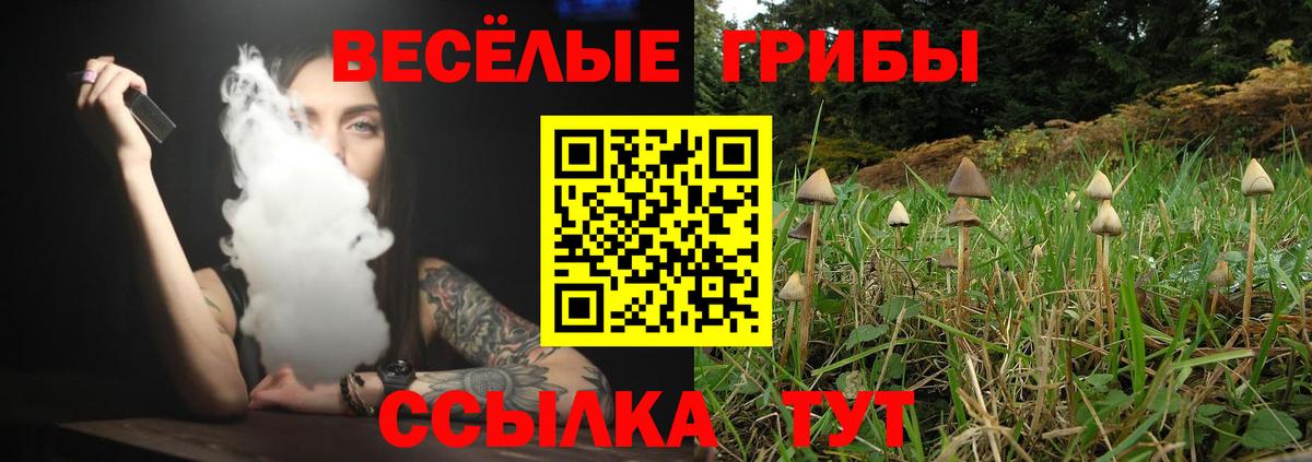 Чистополь  Псилоцибиновые грибы ЛСД  где продают   Вход с VPN 