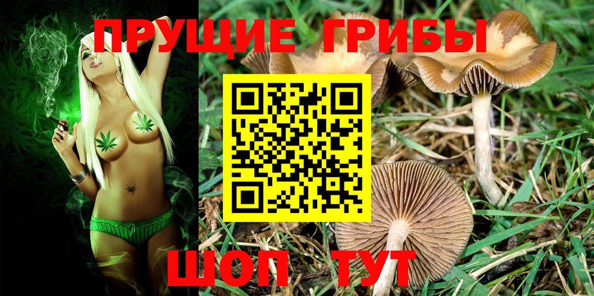 Псилоцибиновые грибы MAGIC MUSHROOMS Чистополь